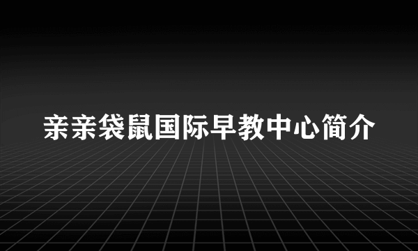 亲亲袋鼠国际早教中心简介