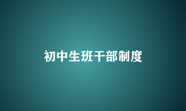 初中生班干部制度