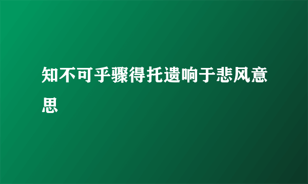 知不可乎骤得托遗响于悲风意思