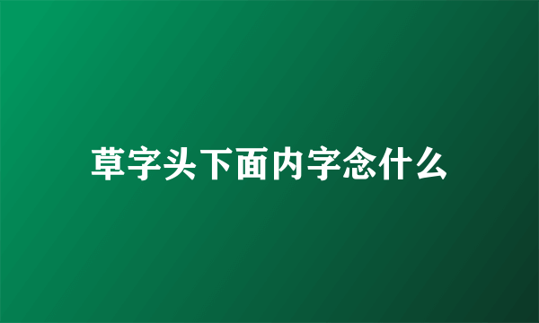 草字头下面内字念什么