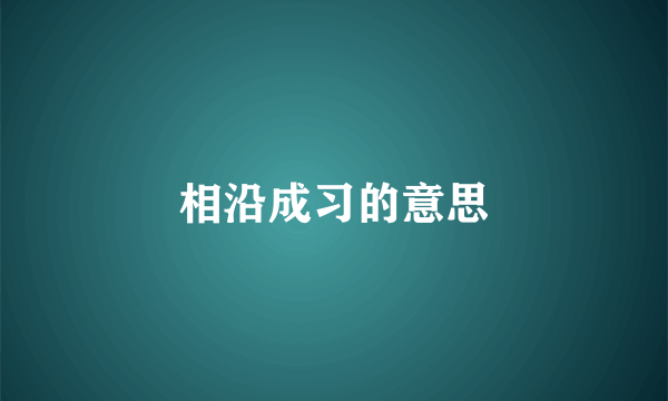 相沿成习的意思