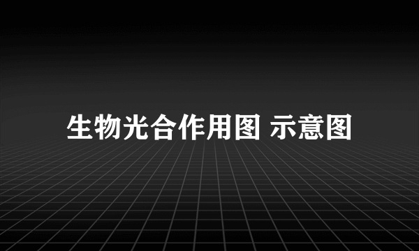 生物光合作用图 示意图