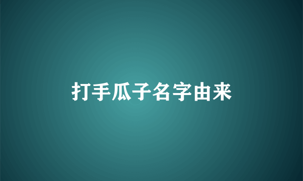 打手瓜子名字由来