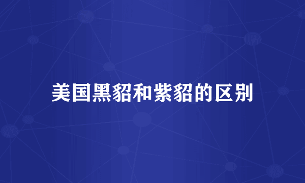 美国黑貂和紫貂的区别