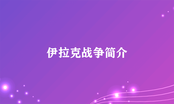 伊拉克战争简介