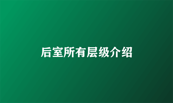 后室所有层级介绍