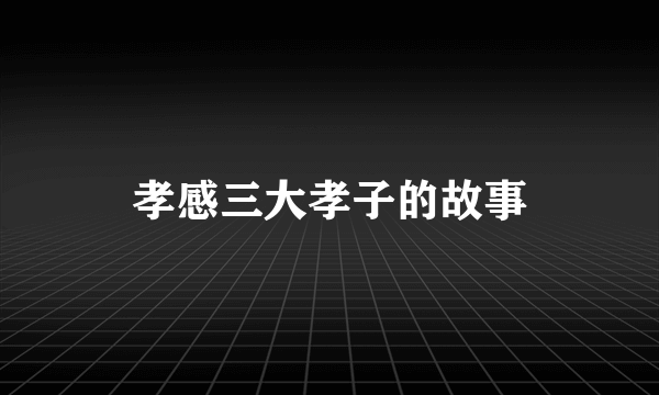 孝感三大孝子的故事