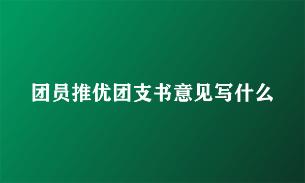 团员推优团支书意见写什么