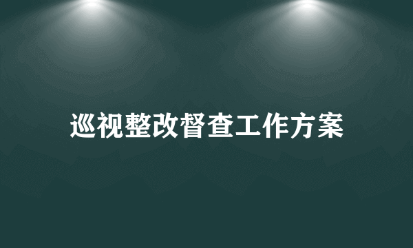 巡视整改督查工作方案