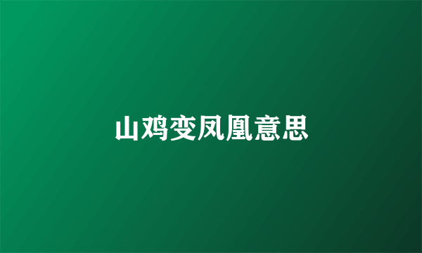 山鸡变凤凰意思