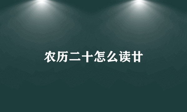 农历二十怎么读廿