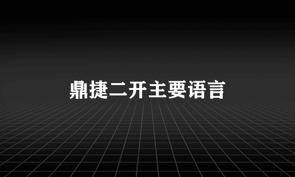 鼎捷二开主要语言