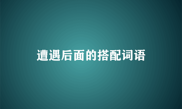遭遇后面的搭配词语