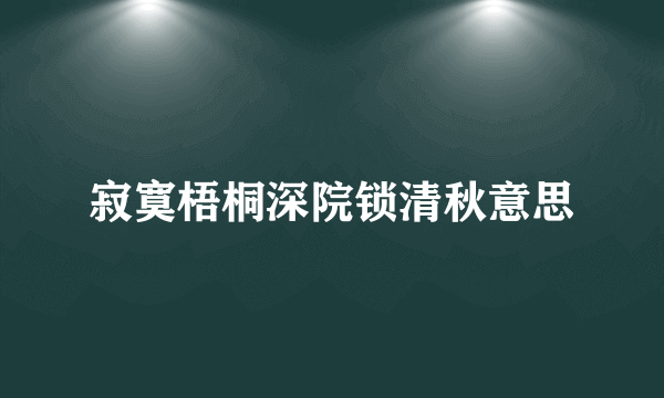 寂寞梧桐深院锁清秋意思