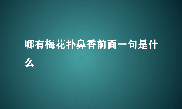 哪有梅花扑鼻香前面一句是什么