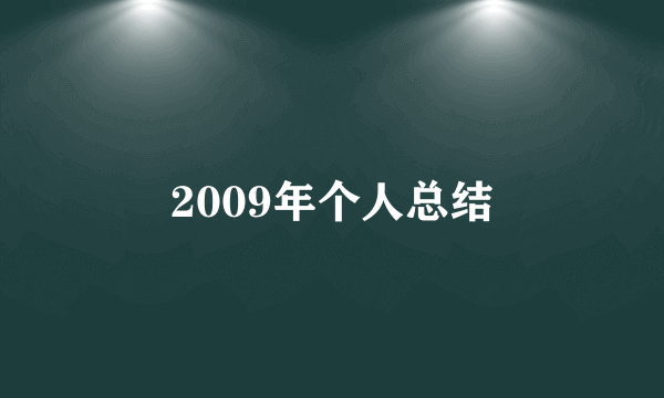 2009年个人总结