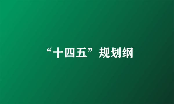 “十四五”规划纲