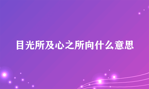 目光所及心之所向什么意思