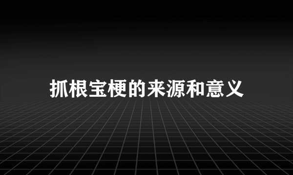 抓根宝梗的来源和意义