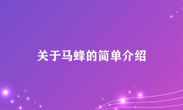关于马蜂的简单介绍