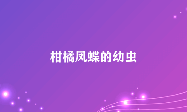 柑橘凤蝶的幼虫