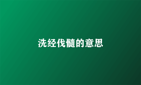 洗经伐髓的意思
