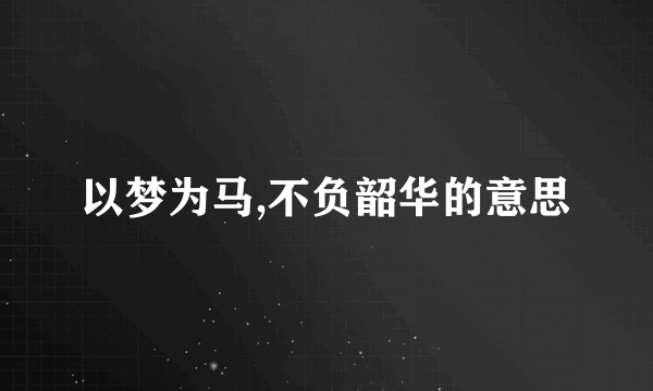 以梦为马,不负韶华的意思