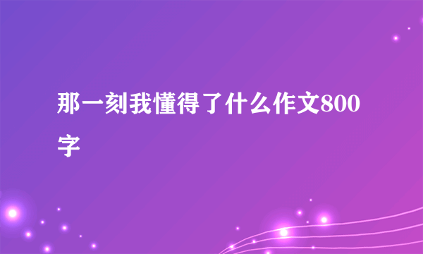 那一刻我懂得了什么作文800字