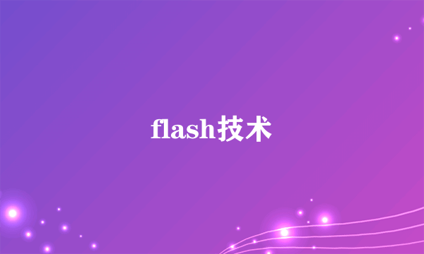 flash技术