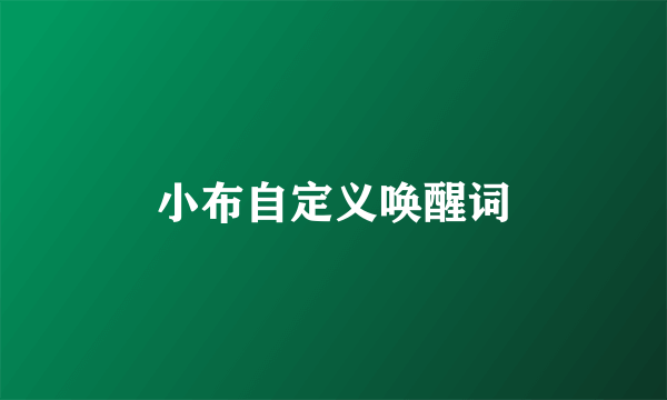 小布自定义唤醒词