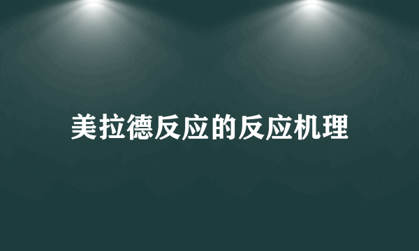 美拉德反应的反应机理