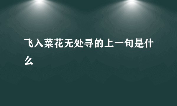 飞入菜花无处寻的上一句是什么