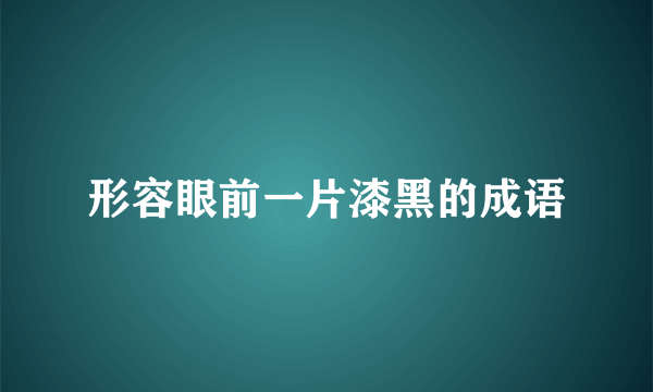 形容眼前一片漆黑的成语