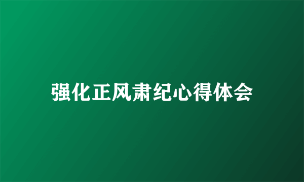 强化正风肃纪心得体会