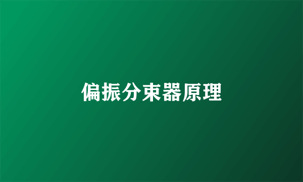 偏振分束器原理