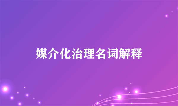 媒介化治理名词解释