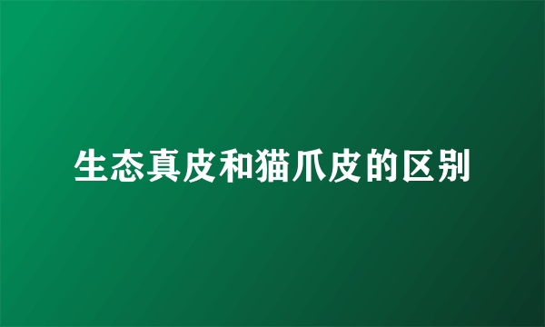生态真皮和猫爪皮的区别