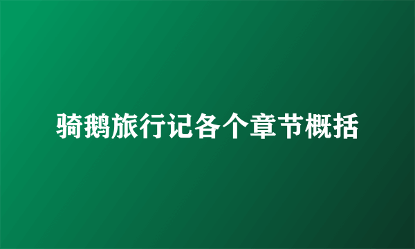 骑鹅旅行记各个章节概括