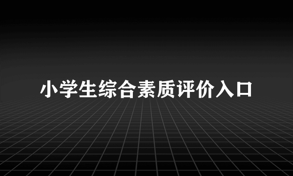 小学生综合素质评价入口