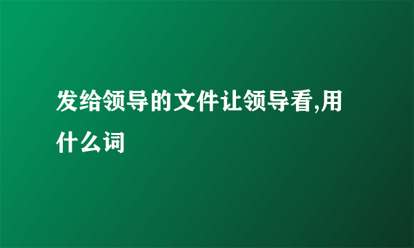 发给领导的文件让领导看,用什么词