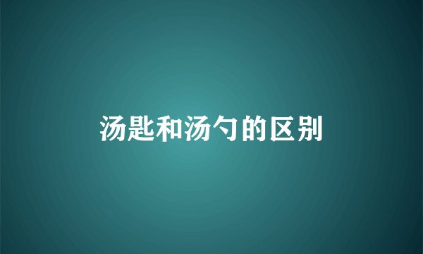 汤匙和汤勺的区别