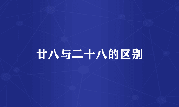 廿八与二十八的区别