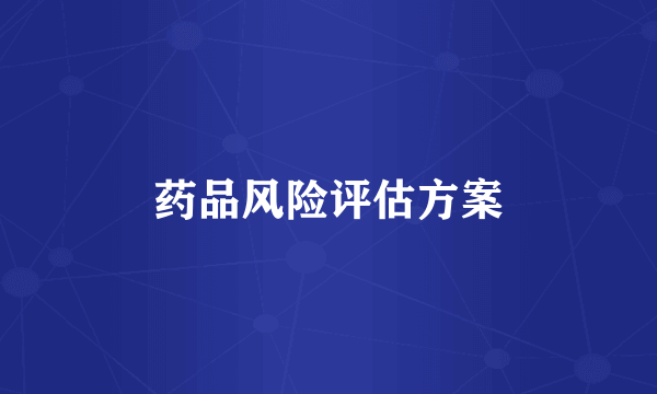 药品风险评估方案