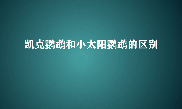 凯克鹦鹉和小太阳鹦鹉的区别