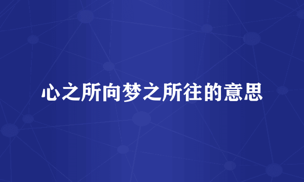 心之所向梦之所往的意思