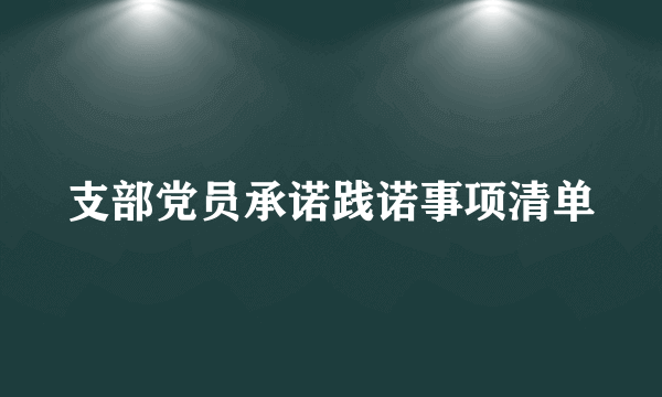 支部党员承诺践诺事项清单