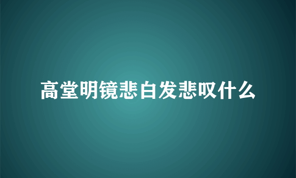 高堂明镜悲白发悲叹什么