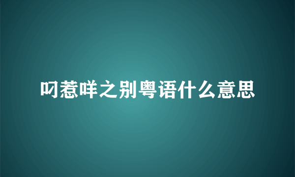 叼惹咩之别粤语什么意思