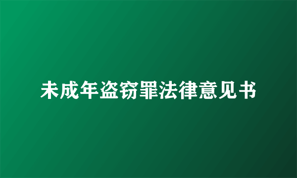 未成年盗窃罪法律意见书