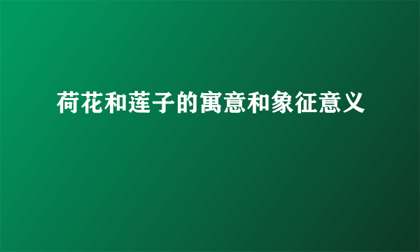 荷花和莲子的寓意和象征意义